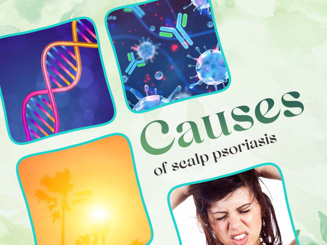 ANCIENT HERB OF INDIA PSORIA OIL ADVANCED AYURVEDIC RELIEF FOR SCALP & SKIN